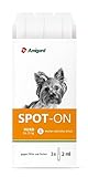 Amigard Spot-On 3er Pack für kleine Hunde, gegen Zecken und Flöhe, 1 Monat Schutz, pflanzliche Wirkstoffe, ohne Parfüm und Konservierungsmittel, vegan