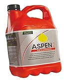 hewins Aspen 2-Takt-Alkylat-Kraftstoff 5L Kettensäge Heckenschere Rasentrimmer Gebläse