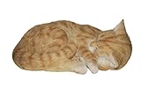 Vivid Arts Real Life Katze, schlafend, rot (Größe B)