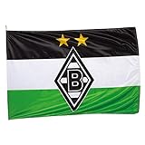 Borussia Mönchengladbach Hiss-Fahne 'Logo' | Offizieller Fanartikel | 100 x 150 cm