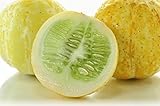 Zitronengurke 10 Samen (cucumis lemon) frisch-fruchtigen Geschmack, (Cucumber Lemon)