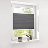 Deswell Plissee ohne Bohren Klemmfix Anthrazit B35 x H120 cm Plisseerollo Sonnenschutz und Sichtschutz Jalousien Easyfix Plissees Lichtdurchlässig Rollo für Fenster & Tü