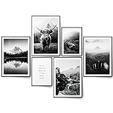 BLCKART Hochland Kuh Bilder Set Stilvolle Beidseitige Highlands Bilderwand Natur Wohnzimmer Deko Berge Poster Schwarz Weiß (M | 4x A4 | 2x A5 | ohne Rahmen, Hochland Kuh)
