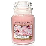 Yankee Candle Duftkerze im Glas (groß) | Cherry Blossom | Brenndauer bis zu 150 Stunden