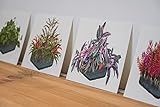 AquaOwner Plant Art Set