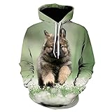 QTJY Niedlicher Hund 3D Gedruckter Hoodie, Herren- / Damenmode Herbst Winter Langarm lustiges Sweatshirt, Kleidung Top K 4XL