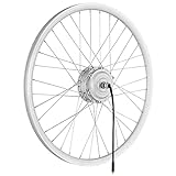 windmeile | E-Bike Nabenmotor Vorderrad, eingespeicht, Silber, 20', 36V/250W, E-Bike, Elektro Fahrrad, Pedelec