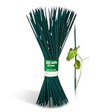 Novatool 100x Splittstäbe 50 cm x 5 mm I Grün I Pflanzstäbe Rankhilfe Bambus Stab Bambusstäbe Bambusstange Pflanzen Stütze Holzstab Plant Stak