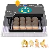 Inkubator 12 Eier Inkubator Hühner Vollautomatisch Automatischer digitaler Brutkasten Inkubator Hühner mit LED Beleuchtung Temperaturregelung Auto-Flip, für Hühner Enten Gänse Taube
