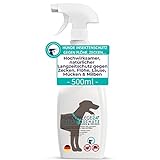 Hundepflege24 Anti Zecken Spray, Insektenschutz & Flohmittel für Hund und Katze 500ml - Hochwirksamer, Natürlicher Langzeit Schutz gegen Zecken, Flöhe, Läuse, Mücken, Fliegen & Milben