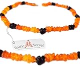 Echte Bernsteinkette für Katzen & kleine Hunde Stylisch Glänzend Bernstein Halsband & Kette das sogar die Nachbarskatze neidisch Macht Perfekter Look für kleine Vierbeiner mit Stil (BUNT, 24 cm)