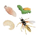 Generic Naturwespe Insekten Lebenszyklen Wachstumsmodell Spiel Prop Tierfigur Modell