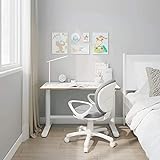 SANODESK Höhenverstellbarer Kinderschreibtisch/ergonomischer Schreibtisch - 160×100 SD1 (mit Stuhl, Grau)