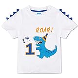 AMZTM Dinosaurier Geburtstag T Shirt - 1. Geburtstag Partyzubehör Geschenk Baby Jungen T-Shirt Kurzarm Weiß 100% Baumwolle gedruckt Stickerei Top Bekleidung(Weiß, 90)