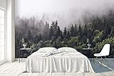 Fototapete 3D Effekt Wolke Nebel Kiefernwald Naturkulisse Tapeten 3D Effekt Vliestapete Wohnzimmer Schlafzimmer Wandbilder Wanddeko