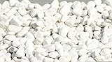 Terra Forma Carrara Weiß Marmorkies 16-25 a 20 kg