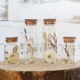 comforder Trockenblumen im Glas mit Korken 4er Set, getrocknete Blumen-Deko in eleganten, schmalen Gläsern (Natur)