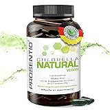 Prosentio - Chlorella Kapseln hochdosiert 500 mg 120 Stück | Chlorella Alge hohe Bioverfügbarkeit | 100% vegan, Laborgeprüft & ohne unerwünschte Zusätze