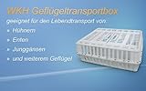 WKH GmbH Transportbox für Geflügel - Geflügeltransportkiste - Hähnchenkiste