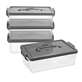 BTSKY 4PCS Delphine Stapelbare transparente Bleistiftbox mit Deckel & Schnalle & Griff (Grau)