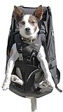 PREMIUM BIG&SLIM DOG CARRIER Hunderucksack als Hundetransporttasche / Rucksack, schwarz - Hochwertiger Hunderucksack für Hunde von 7-16kg