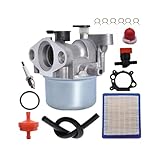 JHBYGMD Gartengeräte 796707 für Vergaser für Briggs & für Stratton 799866 794304 124L02 126M02 124L05 E