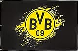 BVB Fahne 150x100