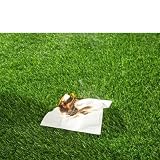 Kunstrasen-Teppich, 3 x 10 Fuß, hochwertiger synthetischer Kunstrasen, für Hunde, Garten, Rasen, Landschaftsgestaltung, für drinnen und draußen (Größe: 3 x 3 m)
