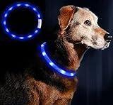 LED Leuchthalsband Hunde Halsband - Anicoll USB wiederaufladbar - Längenverstellbarer Haustier Sicherheit Kragen für Hunde und Katzen- 4 Modus 12 Lichte (Blau)