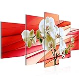 Runa Art - Bilder Blumen Orchidee 200 x 100 cm 5 Teilig XXL Wanddekoration Design Rot 202051a