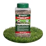 Veddelholzer 3 in 1 Rasensamen NPK Dünger Substrat Mix 500 g Rasen Reparatur Mix zur Nachsaat schnellkeimend für einen dichten strapazierfähigen grünen Rasen nie mehr kahle S