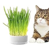 Grasbox Für Katzen | Pflanzkasten, Bodenfreier Katzenminze-Übertopf - Katzenminze-Pflanzgefäß, Abnehmbarer Pflanzkasten, Erdfreier Graskasten Für Katzen, Hunde Und Andere Haustiere