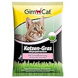 GimCat Katzen-Gras mit Schnellkeimung - Saatmischung aus kontrolliertem Feldanbau für schnelle Aufzucht - 1 Beutel (1 x 100 g)