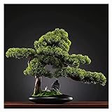 FACAZ Simulationsbaum 16.9 Zoll künstlicher Bonsai-Baum, künstliche Pflanzendekoration aus Kunststoff, künstliche Zimmerpflanzen im Topf, für Heimbüro, Zen-Garten-Dekor-künstlicher Bonsai-Baum