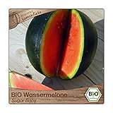 Samenliebe BIO Wassermelonen Samen Sugar Baby besonders süße und saftige Melone rund rot 10 Samen samenfestes Gemüse Saatgut für Gewächshaus Freiland und Balkon BIO Gemüsesamen