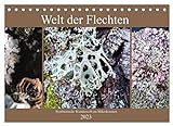 Welt der Flechten (Tischkalender 2023 DIN A5 quer), Calvendo Monatskalender