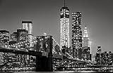 NEW YORK Fototapete VLIES-400x260 cm (5555A)-Manhattan Brooklyne Bridge Skyline Fotokunst Wandtapete-Inkl. Kleister-Vliestapete Bild Dekoration Wand-Dekor Moderne Motiv-Tapete Panorama Poster XXL