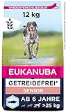 Eukanuba Hundefutter getreidefrei mit Fisch für große Rassen - Trockenfutter für Senior Hunde, 12 kg