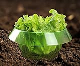20 STK Schneckenzaun, Schneckenkragen zur Abwehr von Schnecken, Effektiver Schneckenschutz für Ihre Salatpflanzen und Kohl
