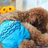 Haustier Hund Unterwäsche weich und bequem Baumwolle weiblichen Haustier Damenhosen Welpen physiologische Hosen Größe Hund Windeln, Größe: M (blau) (Color : Blue)