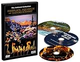 3 DVD Set - Kaminfeuer und Aquarien und Naturlandschaften