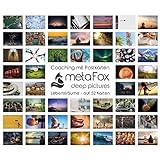 metaFox | Lebensträume | 52 Postkarten für Coaching & Persönlichkeitsentwicklung