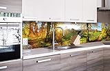 DIMEX Küchenrückwand Folie selbstklebend Wiese | Klebefolie - Dekofolie - Spritzschutz für Küche | Premium QUALITÄT - Made in EU | 260 cm x 60 cm