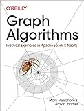 Graph Algorithms: Practical Examples in Apache Spark and Neo4j (English Edition)