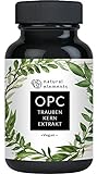 OPC Traubenkernextrakt - 240 hochdosierte Kapseln für 8 Monate - Laborgeprüftes OPC aus europäischen Weintrauben - Vegan