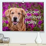 Golden Retriever Hailey Fotokalender (Premium, hochwertiger DIN A2 Wandkalender 2021, Kunstdruck in Hochglanz)