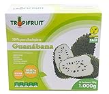 Guanabana / Graviola (Stachelannone) – Fruchtpüree, 3x1kg Box (10 x 100g per box)