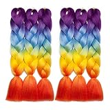 Elailite 24' Braids Kunsthaar, Synthetische Braiding Hair Flechten Haarverlängerungen Haar Extensions Crochet Braids 100g Violett/Blau/Gelb/Orange