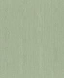 Rasch Tapeten Vliestapete (universell) Grün 10,05 m x 0,53 m #ROCKNROLLE 536133