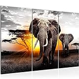 Runa Art Afrika Elefant Bild Wandbilder Wohnzimmer XXL Grau Orange Panorama 120 x 80 cm 3 Teilig Wanddeko 007631a